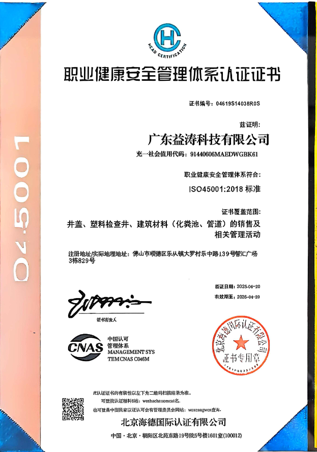 龙文荣誉证书